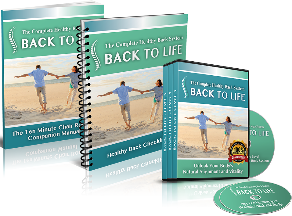 back to life system emily